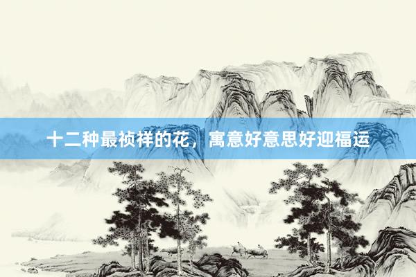 十二种最祯祥的花，寓意好意思好迎福运