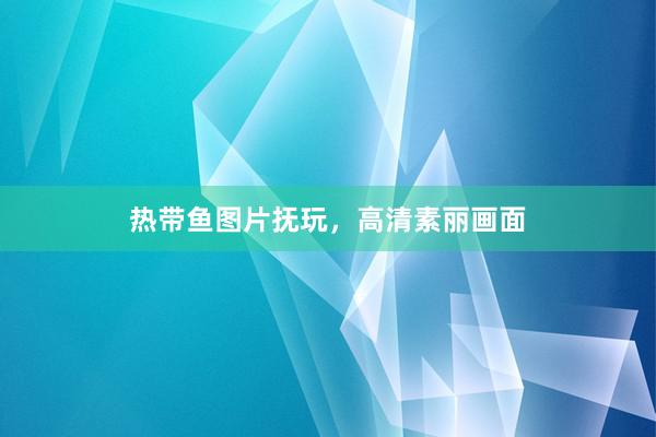 热带鱼图片抚玩，高清素丽画面