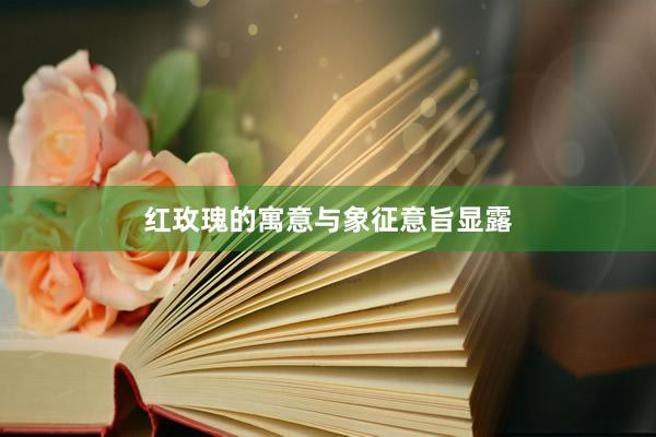红玫瑰的寓意与象征意旨显露